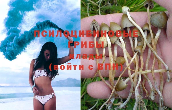 трава Елизово