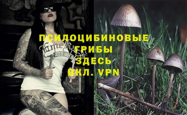 не бодяженный Щигры