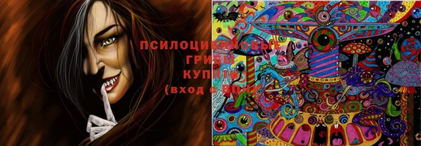 МДПВ Ельня