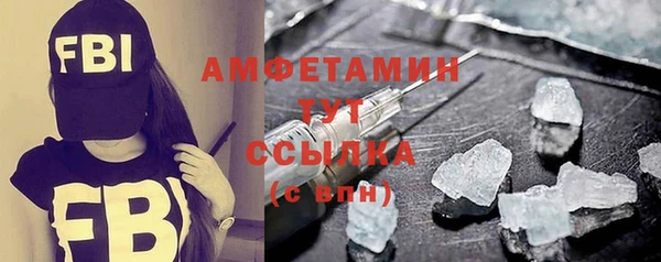 МДПВ Ельня